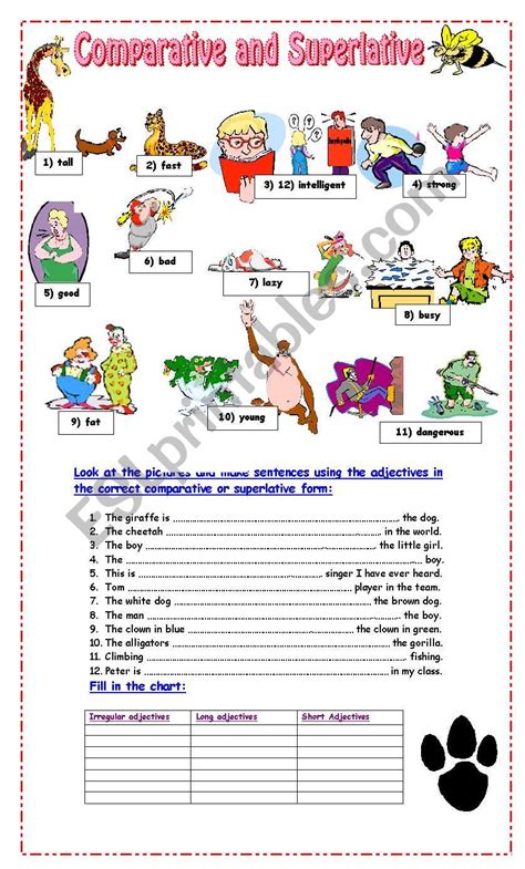 Comparative And Superlative Exercises Esl Worksheet By Pacchy