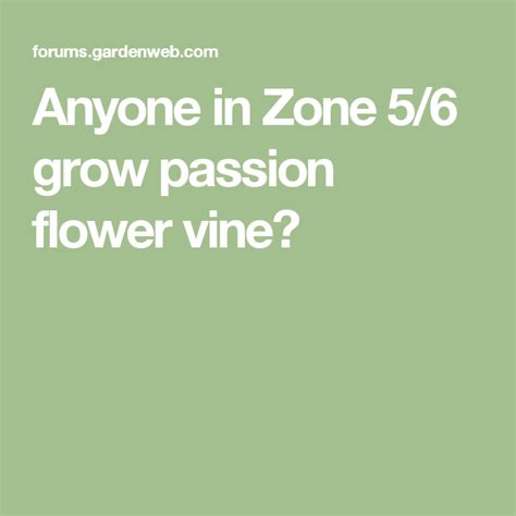 Maybe you would like to learn more about one of these? Anyone in Zone 5/6 grow passion flower vine? | Flowering ...