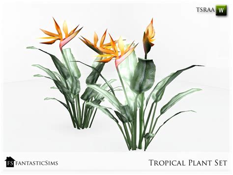 The Sims Resource Tropical Plant Bird Of Paradise Fs