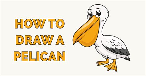 How To Draw A Pelican Really Easy Drawing Tutorial