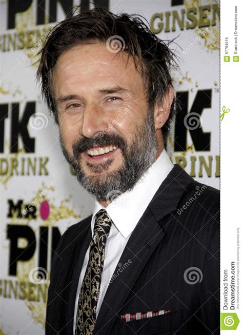 David Arquette Editorial Photo Image Of Movie Hollywood 57794516
