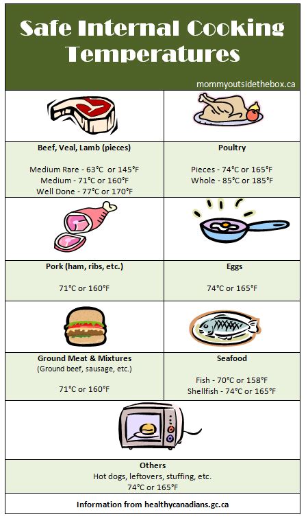 Safe Internal Cooking Temperatures Safe Food Food Handling Hygienic