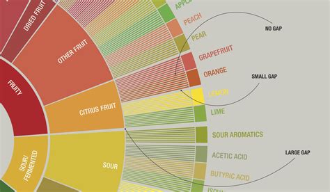 Scaa coffee taster flavor wheel download a copy for your reference and become a certified coffee taster cocotu exclusive latin america coffee. How to Use the Coffee Taster's Flavor Wheel in 8 Steps ...