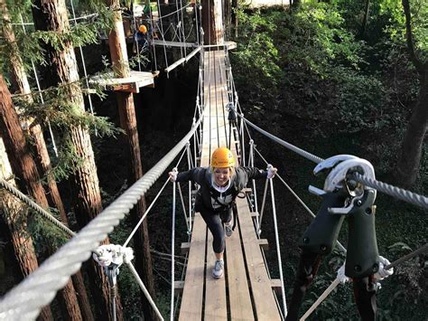 Hermon's core values of quality, authenticity and inspiration with the final goal. Mount Hermon Redwood Canopy Tours Reviews | Santa Cruz ...