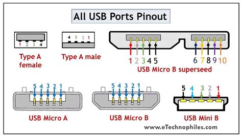 Descubre el increíble mundo de los cables USB Conoce todo sobre los