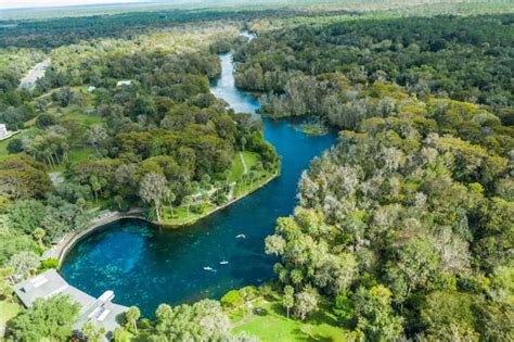 Top 5 Things To Do At Silver Springs State Park Get Up And Go Kayaking