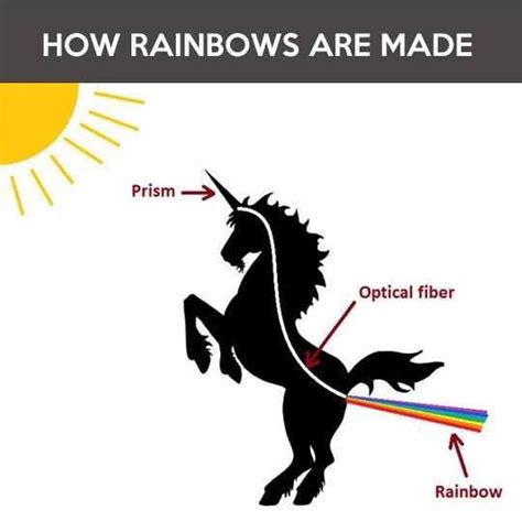 How Rainbows Are Made Unicorn Memes Unicorn Funny Pictures