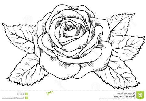 Delicate shading adds depth to the drawing without overpowering the gentle contour. Flower Drawing Outline at GetDrawings | Free download