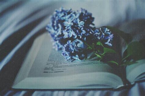 Aesthetic Beautiful Book Dark Blue Flower Image 4065611 By