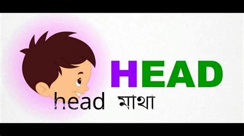 Vegetables names in tamil with pictures indian vegetables: Human Body Parts in English and Bangle | মানুষের অঙ্গ ...