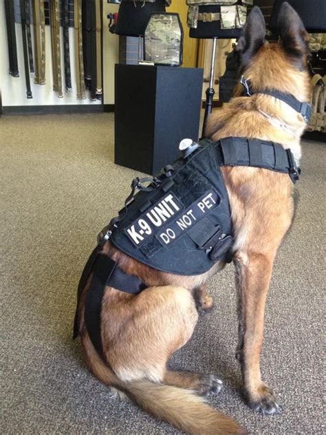 K9 Units Custom Tailor To Your K9 Teams Needs Lof Defense Systems
