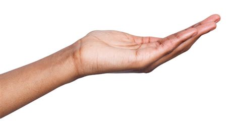 Segurando ou oferecendo mão feminina estendida mulher afro americana mantendo a palma da mão