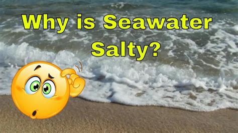 Why Is Sea Water Salty Where Does Salt In Seawater Come From What