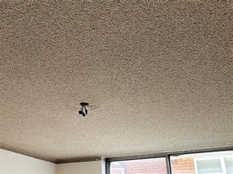 Do you have one of those greyish brown textured ceilings in a due to the very open surface of sprayed vermiculite do not expect to get 100% opaque coverage by. Recent Projects | Hygiene Risk Australia