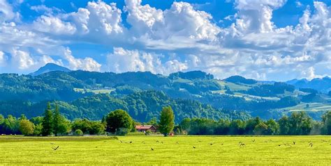 Bavarian Landscape With Crows Over A Field In Bavaria Ger Flickr