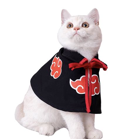 Aggregate More Than 72 Anime Costumes For Cats Best Incdgdbentre