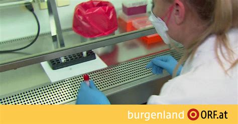 Mai verlängert haben, möchte das burgenland nun seine eigene. 200 Genesene und 95 Erkrankte - burgenland.ORF.at