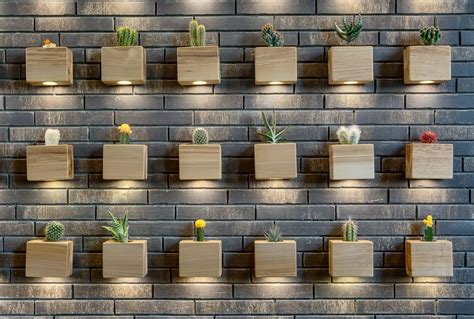 Succulents For The Desert Interiors Plantscapers Interior Wallpaper