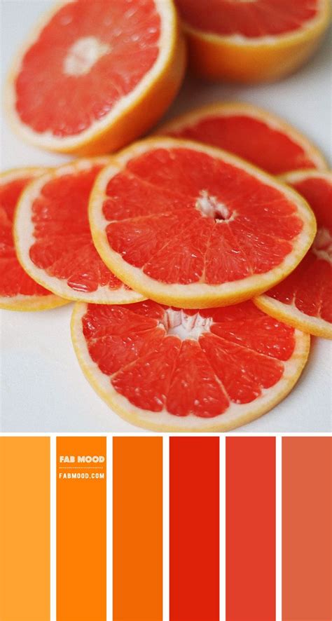 Grapefruit Color Palette Color Palette 63 Orange Color Palettes