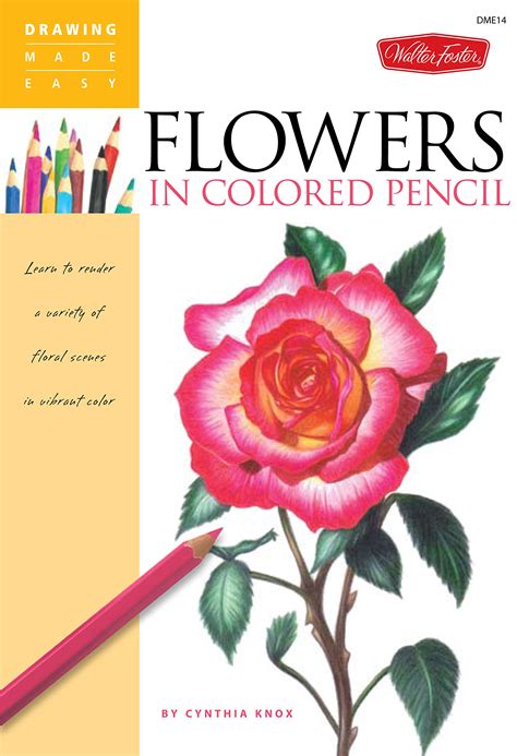 Rose Colored Pencil Drawing Flower Drawing Colour ~ Drawing
