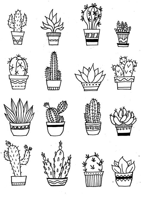Cactus Illustration Doodle Cactus Doodle Plant Doodle Cactus Art