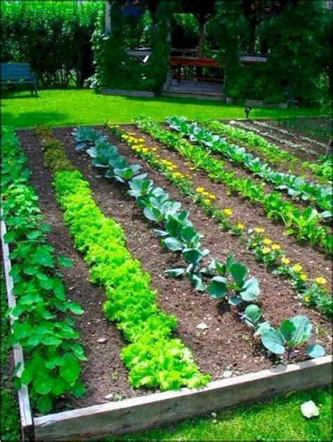 Marvelous 25 Easy Vegetable Garden Layout Ideas For Beginner