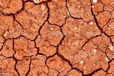 Close Up Nature Background Of Cracked Dry Lands Natural Texture Of Soil