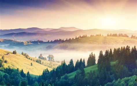 Green Trees On Mountains During Golden Hour Hd Wallpaper Wallpaper Flare