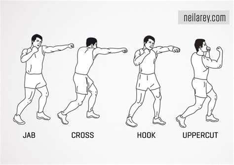 Punch Like A Nerd Utilizing Biomechanics In Boxing Form Biomechanics