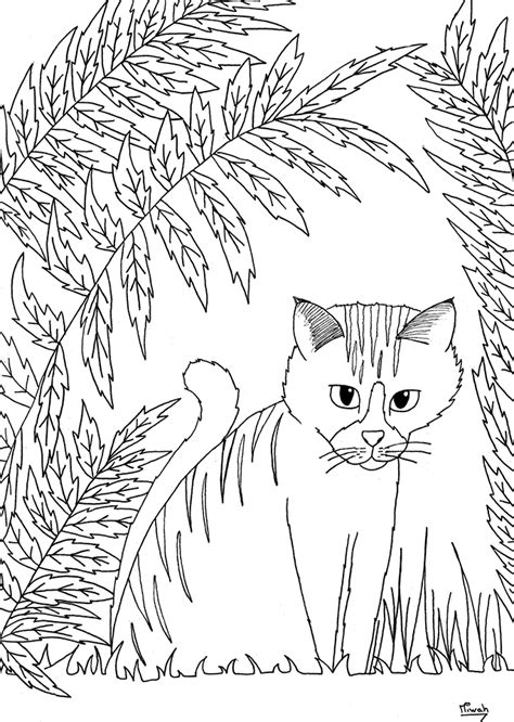 Petit chat par miwah  Chats  Coloriages difficiles pour adultes