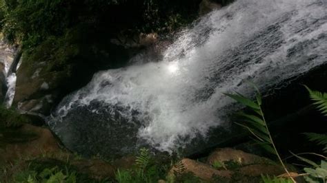 Check spelling or type a new query. Taman Eden 100 (Parapat, Indonesia) - Review - TripAdvisor