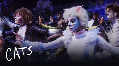 Cats The Musical 2016 Youtube