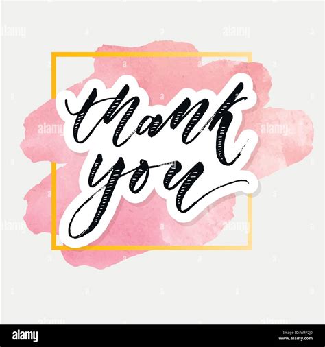 Thank You Watercolor Lettering Calligraphy Vector Illustration Stock