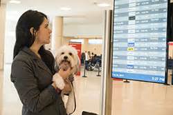 You'll find an overview of bringing fido to many popular international destinations below. International Travel with Your Pet | Features | CDC