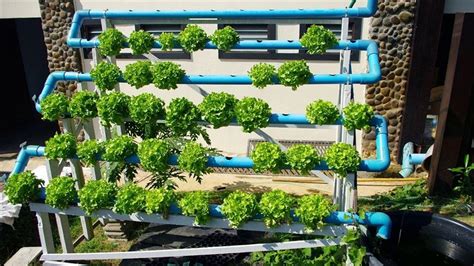 5 cara menanam hidroponik sayuran dengan barang bekas. Cara Menanam Sayuran Hidroponik Yang Tepat Untuk Bisnis ...