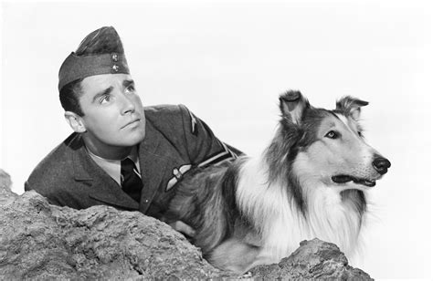 Son Of Lassie 1945 Turner Classic Movies