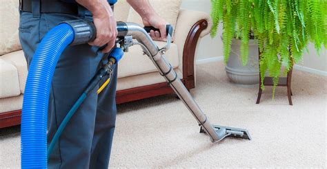 The Importance Of Carpet Cleaning A Guide To Maintaining A Healthy And