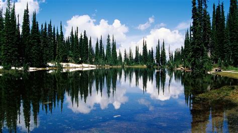 Free Download 1280x960 Emerald Lake British Columbia Desktop Pc And Mac