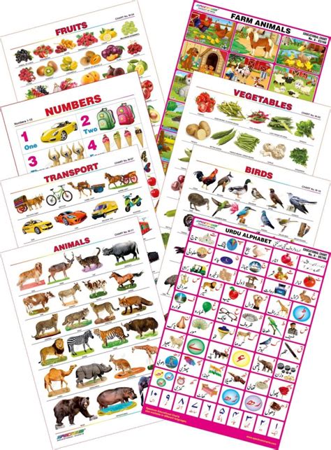 Office Paper Products Chart Paper Spectrum Pre School Kids Learning