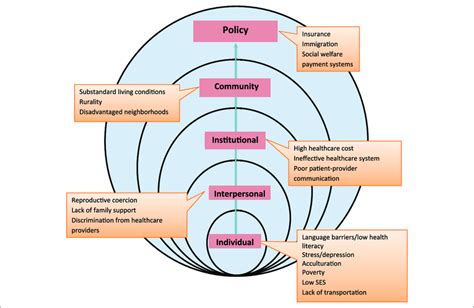 Ecological Framework Of Health Disparities In Latino Populations Note