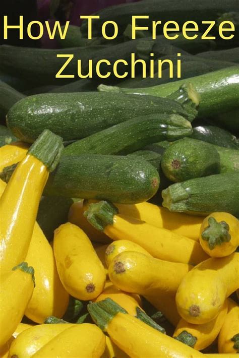You can slice the zucchini into rounds, cut into half moons or chop into bitesize pieces. Pin on Low Carb Resources