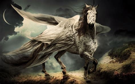 Download Wallpapers Pegasus White Horse With White Wings Art Fantasy