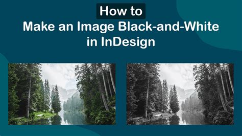 How To Make An Image Black And White In Adobe Indesign