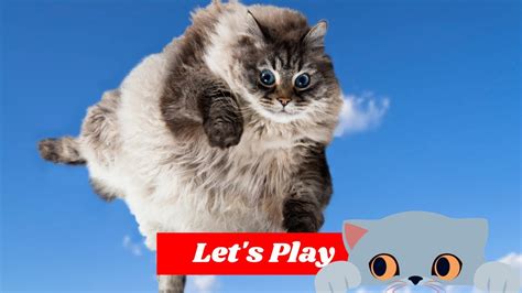 Paws and Play | Heartwarming Moments with Mischievous Kittens | Clever