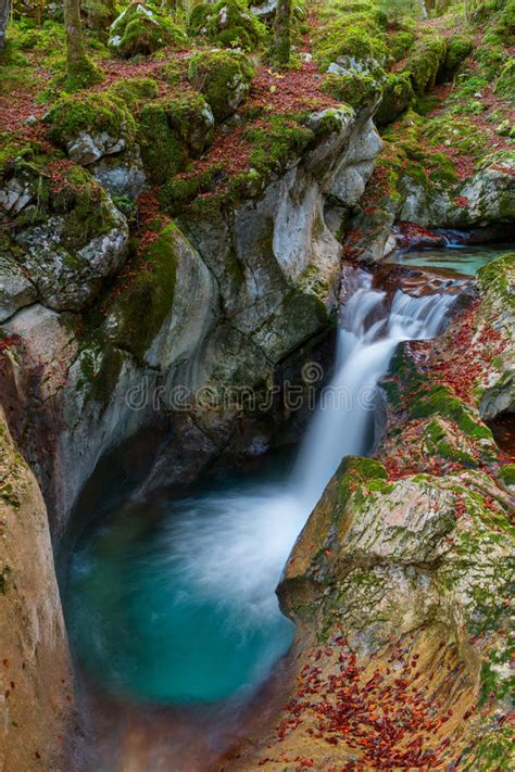 Beautiful Mountain Stream In The Lepena Valley At Autumn Stock Image