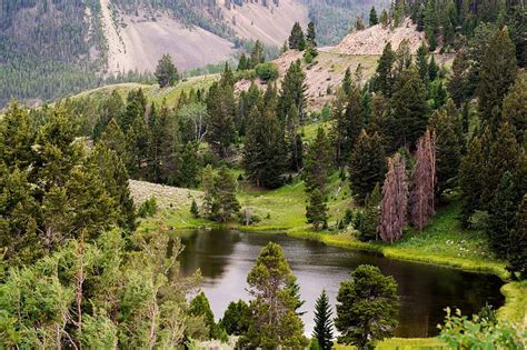 Yellowstone National Park Forest Nature Fun Lake Hd Wallpaper Peakpx