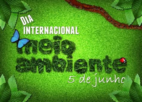 Por que comemoramos o dia do meio ambiente na nossa escola? Dia Internacional do Meio Ambiente - Noviactual