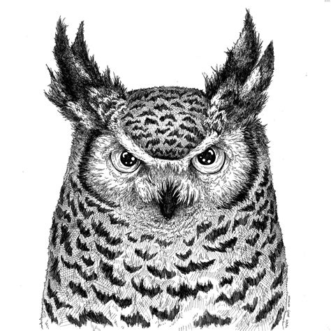 Artstation The Great Horned Owl