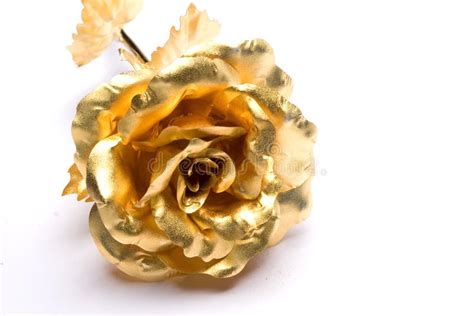 Gold Roses Stock Photo Image Of Celebration Flower Freshness 7030528
