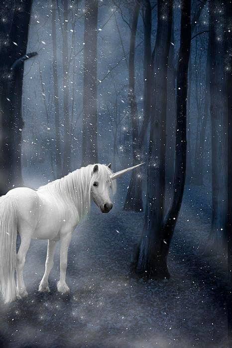 Unicorn In Magic Dark Forest Unicorns And Pegasi Beautiful Unicorn